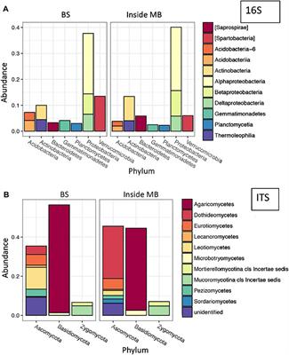 Effects of Microbial-Mineral Interactions on Organic Carbon Stabilization in a Ponderosa Pine Root Zone: A Micro-Scale Approach